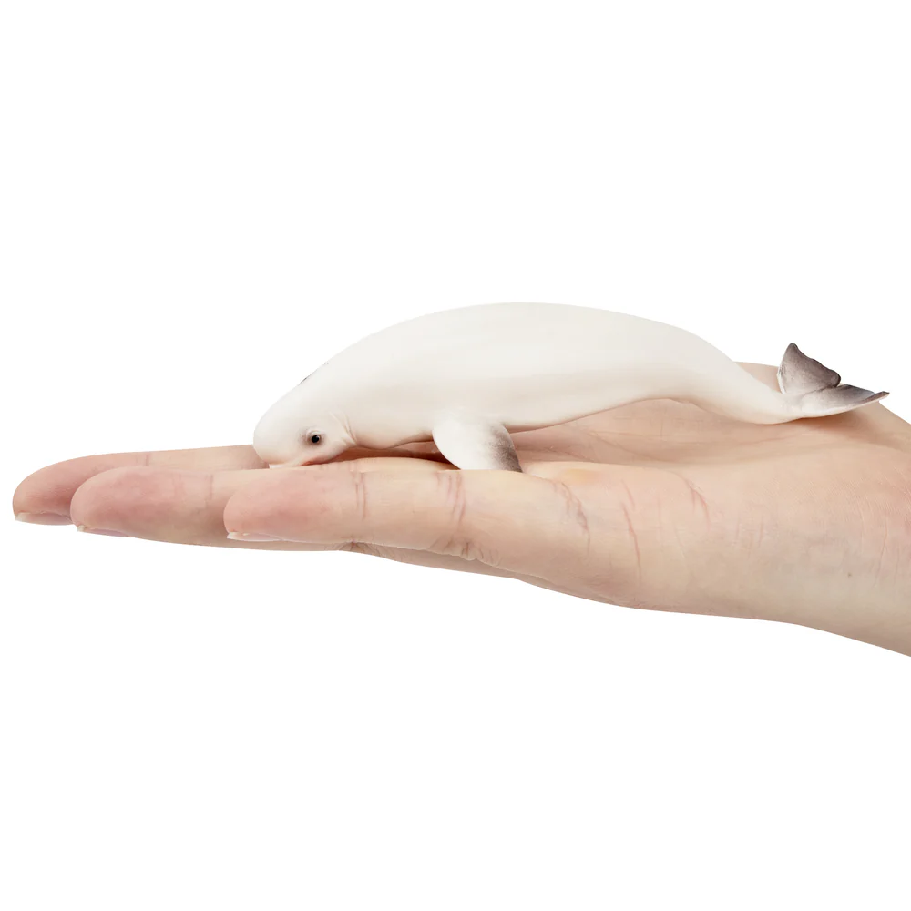 Toymany simulação beluga balei - Kids Toys Under $5 avaliação e preço