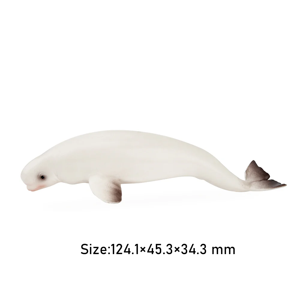 Toymany simulação beluga balei - Kids Toys Under $5 avaliação e preço