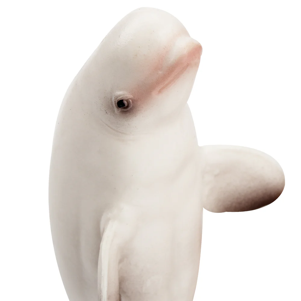 Toymany simulação beluga balei - Kids Toys Under $5 avaliação e preço