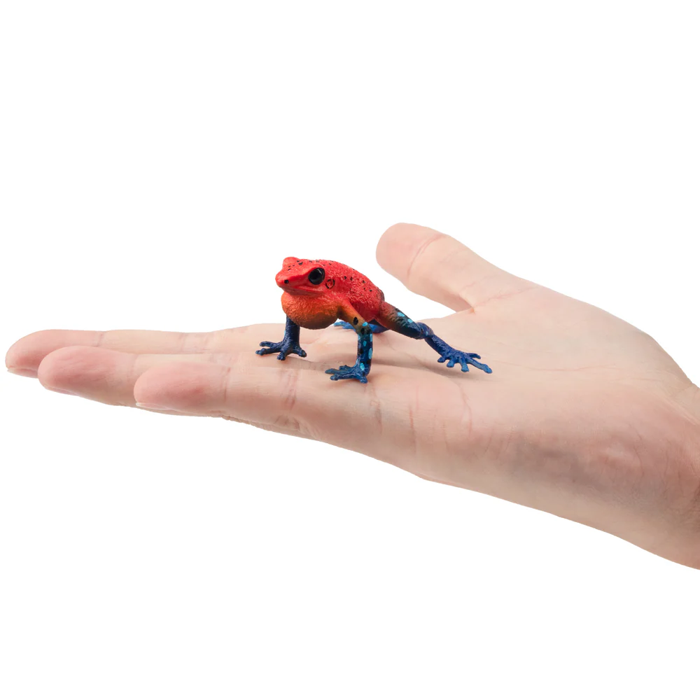 Toymany simulação morango sapo - Kids Toys Under $5 avaliação e preço
