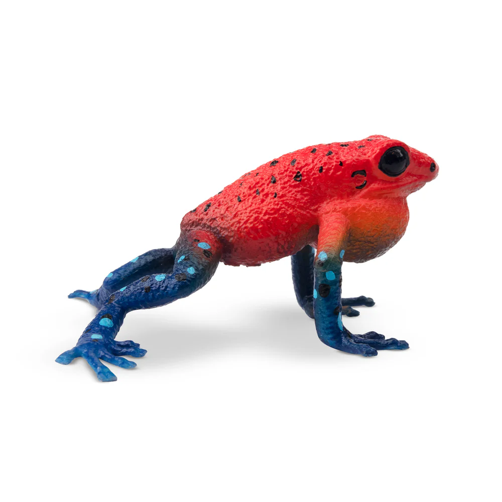 Toymany simulação morango sapo - Kids Toys Under $5 avaliação e preço